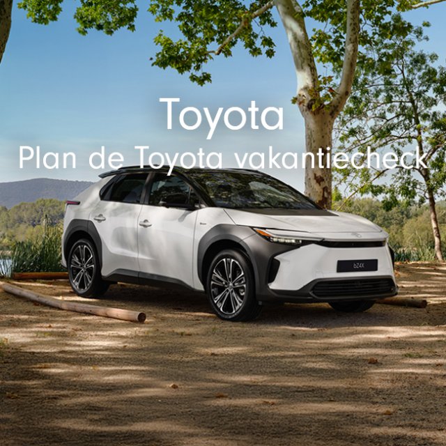 Toyota vakantiecheck
